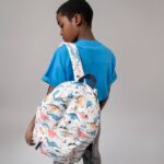 کوله پشتی طرح دایناسور کد 02